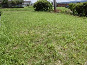 ランドアップ散布1日目