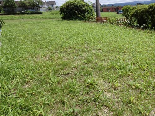 ランドアップ散布1日目