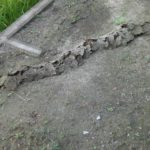 モグラのトンネル