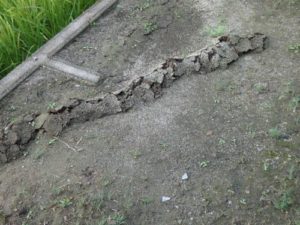 モグラのトンネル